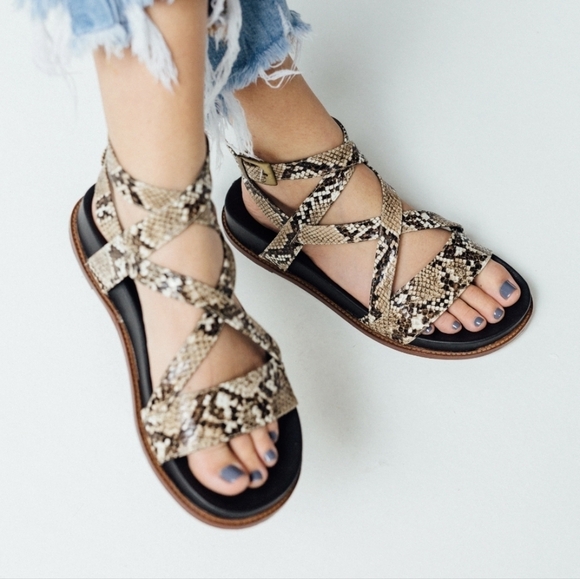 Val Aruzo Zoe Snake Print Strappy Flat Summer sandals Size 6 Travel - Picture 1 of 8